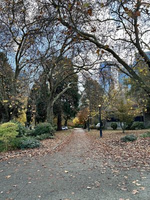 Café Hagen - Dexter by null