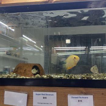 Tiny Aquatics - Local Fish Stores Near Me - Round Rock, Texas