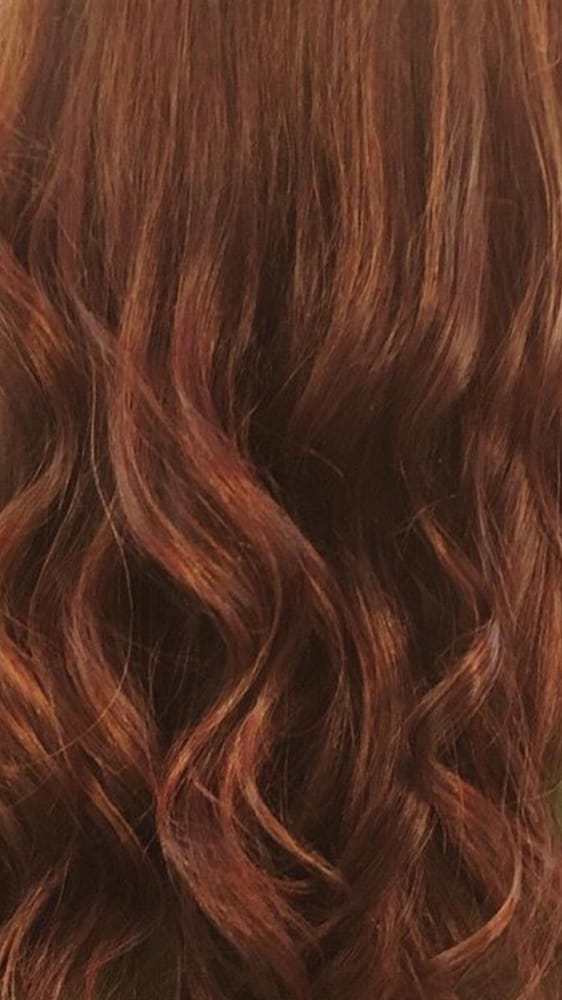 Liz the Stylist Logo