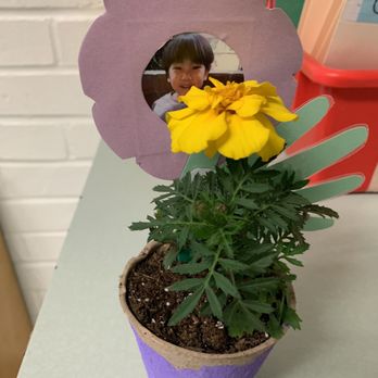 Morningside Children’s Center - kids learning about planting and giving for mother and fathers day - Preschools Near Me - Fullerton, California