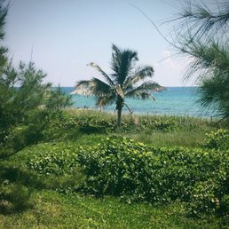 The beauty of nature.... The beauty of nature....