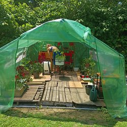 Abby's Fruits And Veggie Farm - Abbys raw produce garden!