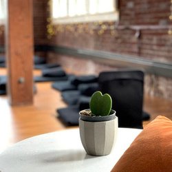 Pause Meditation - Beautiful, intentional space to relax and unwind.