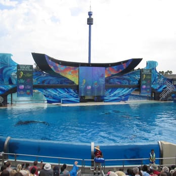 Shamu Show: Believe - Arts & Entertainment Near Me - San Diego, California Shamu Show: Believe - Arts & Entertainment Near Me - San Diego, California
