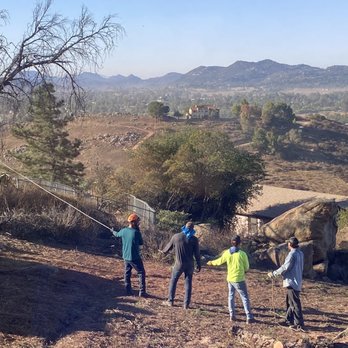 Ramona Tree and Stump - Kenny and his crew bringing down a dead tree - Tree Services Near Me Ramona Tree and Stump - Kenny and his crew bringing down a dead tree - Tree Services Near Me