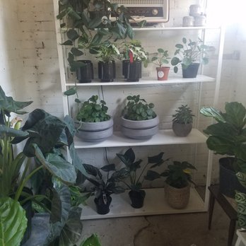 Fancy Free Nursery - Nurseries & Gardening Near Me - Tampa, Florida