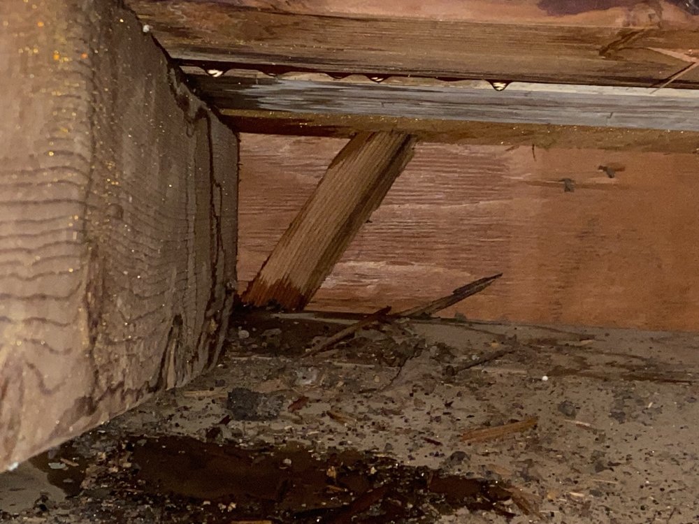 Slide of Rebel Roofing