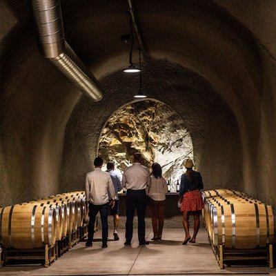 Baldacci Family Vineyards by null