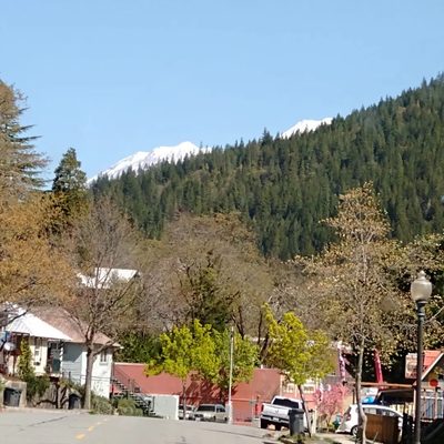 Dunsmuir Lodge by null