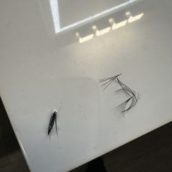 Amazing Lash Studio
