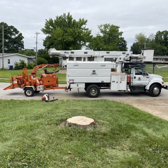 Crown Tree Service - Silver Maple removal. - Tree Services Near Me
