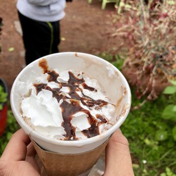 Crucial Coffee Cafe - Coffee & Tea Near Me - Saint Augustine, Florida