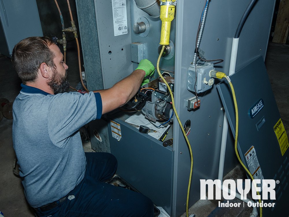 Slide of Moyer Pest Control