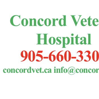 Concord Veterinary Hospital - Veterinarians Near Me - Vaughan, Ontario Concord Veterinary Hospital - Veterinarians Near Me - Vaughan, Ontario