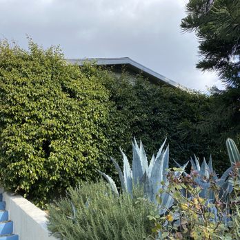 Cisnero's Tree Care - Tree Services Near Me Cisnero's Tree Care - Tree Services Near Me