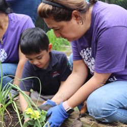 The Montessori School at Starcreek