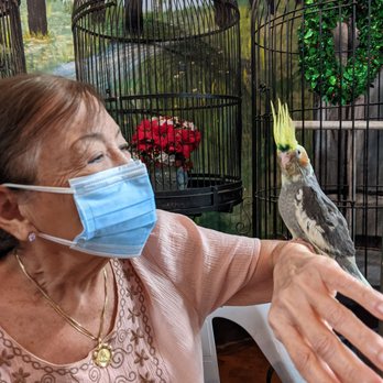 The Aviary - You can come socialize with your baby bird to get him used to you. - Bird Shops Near Me - Goulds, Florida