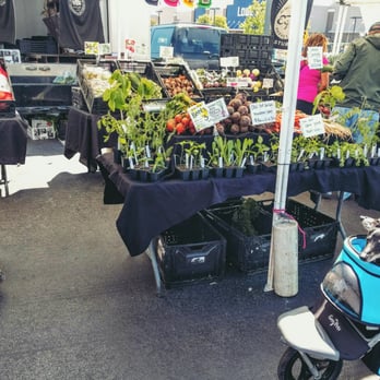 Lone Star Farmers Market - Farmers Market Near Me - Austin, Texas
