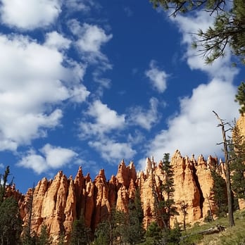 Navajo Loop - Hiking Near Me - Bryce, Utah