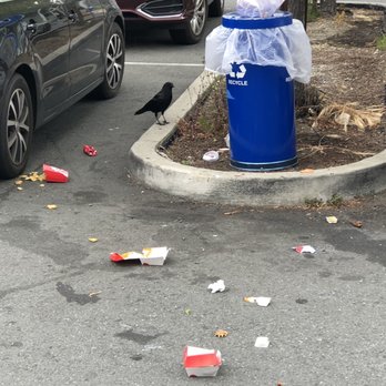 Chick-fil-A - Crows and garbage. - Fast Food Near Me - Walnut Creek, California Chick-fil-A - Crows and garbage. - Fast Food Near Me - Walnut Creek, California