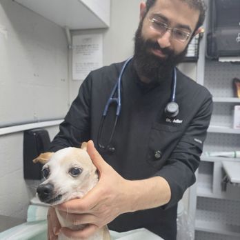 LA Quality Pet Care - Cujo & Dr. Adler - Veterinarians Near Me - La Puente, California LA Quality Pet Care - Cujo & Dr. Adler - Veterinarians Near Me - La Puente, California