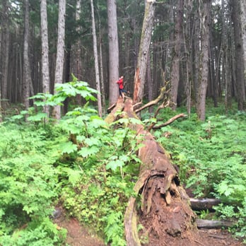 Winner Creek Trail - Hiking Near Me - Girdwood, Alaska Winner Creek Trail - Hiking Near Me - Girdwood, Alaska