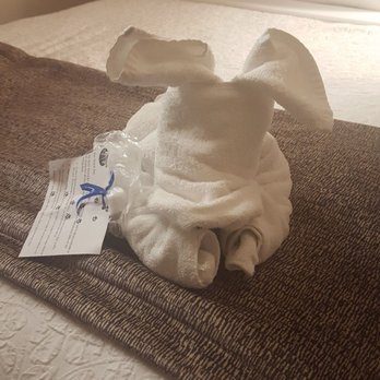 Best Western Bishop Lodge - We were greeted with a towel puppy and treats for the pup. - Hotels Near Me - Bishop, California