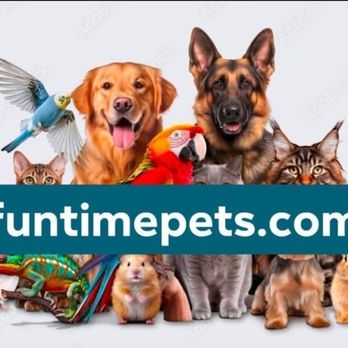 Fun Time Pets - Pet Stores Near Me - Eation, Colorado Fun Time Pets - Pet Stores Near Me - Eation, Colorado