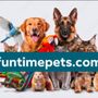 Photo of Fun Time Pets