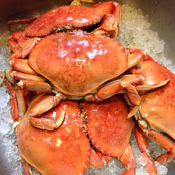 Thrifty Foods - Thrifty Foods has fresh Dungeness crabs
