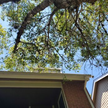 Texas Tradition Landscaping - Before picture - Lawn Services Near Me - San Antonio, Texas Texas Tradition Landscaping - Before picture - Lawn Services Near Me - San Antonio, Texas