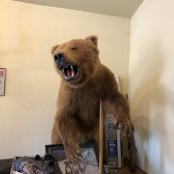 Rick's Taxidermy