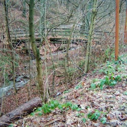 Wildpark Hagen - Wehringhausen