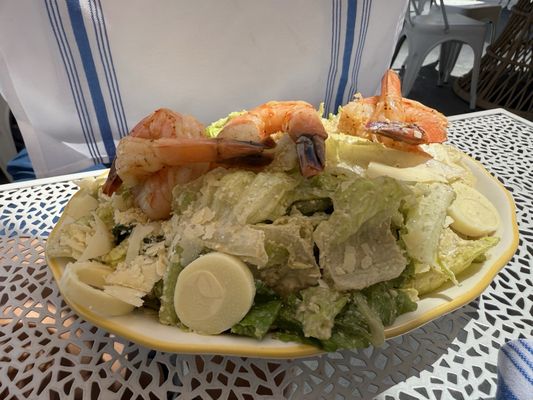 Sailor's Choice by null