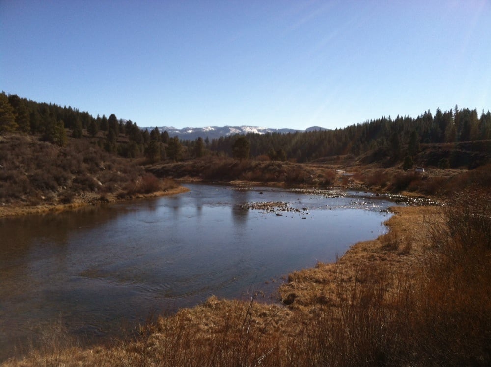 Slide of Prosser Services