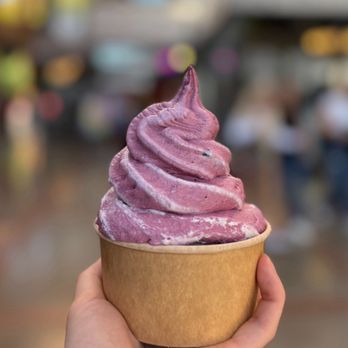 Ice Cream Social - Blackberry Ice Cream (double scoop) - Ice Cream & Frozen Yogurt Near Me Ice Cream Social - Blackberry Ice Cream (double scoop) - Ice Cream & Frozen Yogurt Near Me
