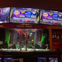 Bar fish tank