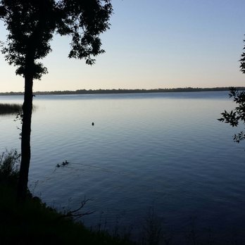 Camp Birchwood For Girls - Loons floating in Steamboat Lake at dusk. - Summer Camps Near Me - Laporte, Minnesota