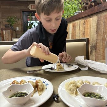 Little Panda Restaurant - Dumplings and Fried Dumplings - Chinese Near Me - Kingsport, Tennessee