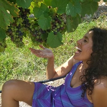 All About Central Texas - One of our tour stops - William Chris Winery - Food Tours Near Me