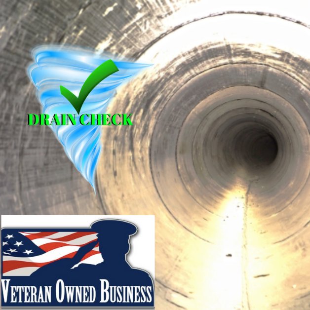 Slide of The Drain Check