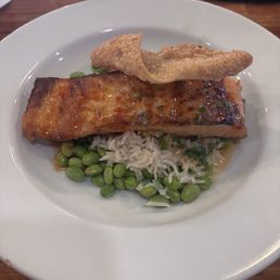 Salmon