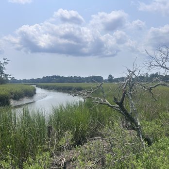 Old Towne Creek County Park - Nice view of Old Towne Creek - Venues & Event Spaces Near Me - Charleston, South Carolina Old Towne Creek County Park - Nice view of Old Towne Creek - Venues & Event Spaces Near Me - Charleston, South Carolina