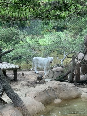 Caldwell Zoo by null