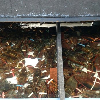 James Hook & Co - Lobsters - huge! - Seafood Near Me - Boston, Massachusetts James Hook & Co - Lobsters - huge! - Seafood Near Me - Boston, Massachusetts