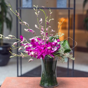 Louis Barry Florist - Fuchsia colored Dendrobium Orchids from Louis Barry Florist - Florists Near Me - Boston, Massachusetts Louis Barry Florist - Fuchsia colored Dendrobium Orchids from Louis Barry Florist - Florists Near Me - Boston, Massachusetts