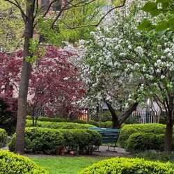 Gramercy Park - Greenery