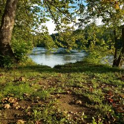 Low Water Bridge Campground