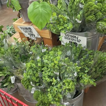 Trader Joe's - More plants - Grocery Near Me - Charlotte, North Carolina Trader Joe's - More plants - Grocery Near Me - Charlotte, North Carolina