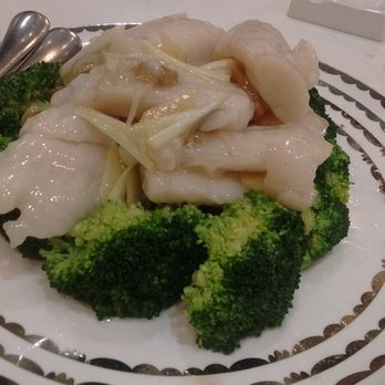 Tin Tin Seafood Harbour - Pan fried fish with broccoli - Dim Sum Near Me - Richmond, British Columbia Tin Tin Seafood Harbour - Pan fried fish with broccoli - Dim Sum Near Me - Richmond, British Columbia